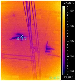 fotric_blog_02_04_img_01.jpg